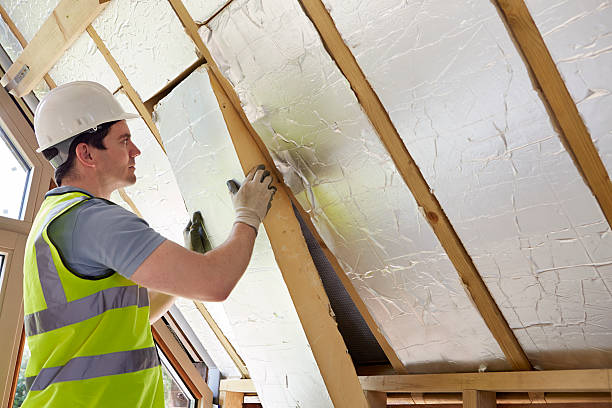 Best Insulation Removal Services  in West Islip, NY